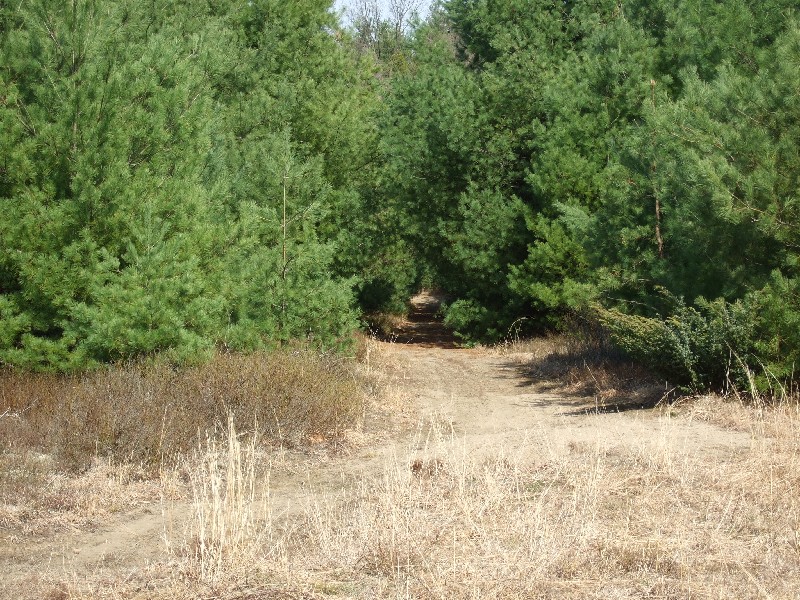 Click to view picture details [9635]