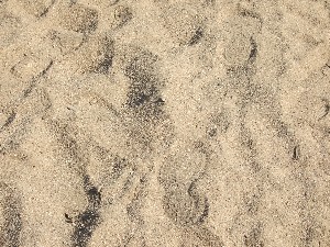 Click to view picture details [9636]