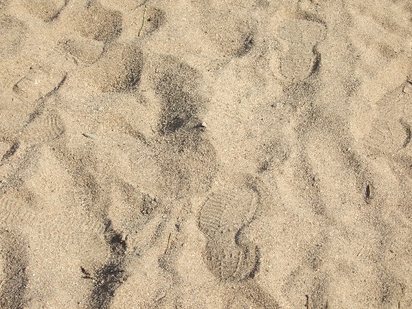 Click to view picture details [9636]