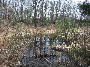 Click to view picture details [9637]