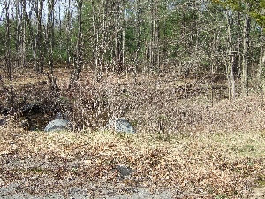 Click to view picture details [9638]