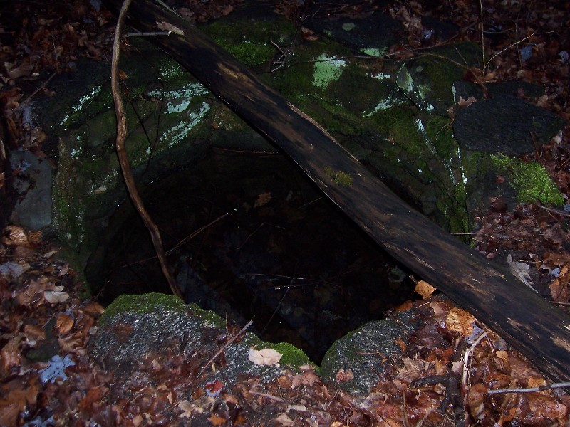 Click to view full-size image