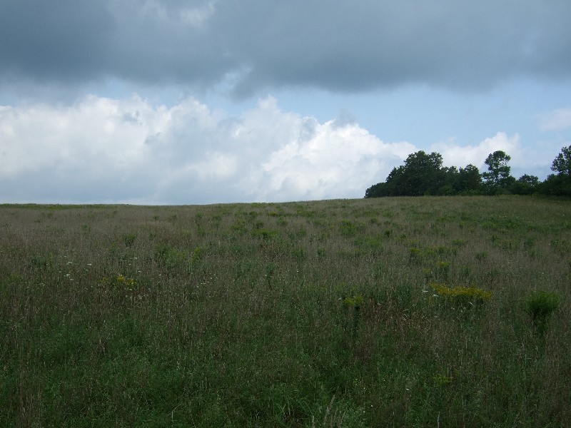 Click to view full-size image