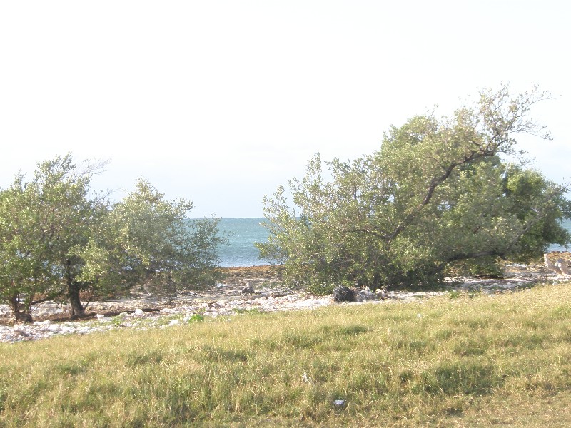 Click to view full-size image