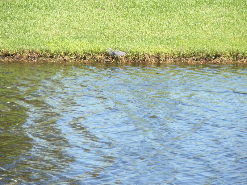 Click to view full-size image