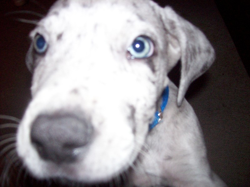 Click to view full-size image