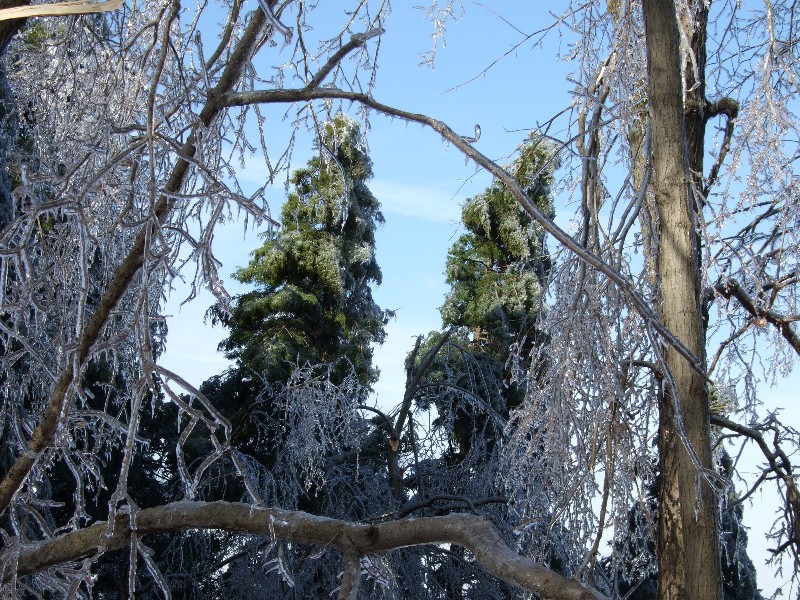 Click to view full-size image