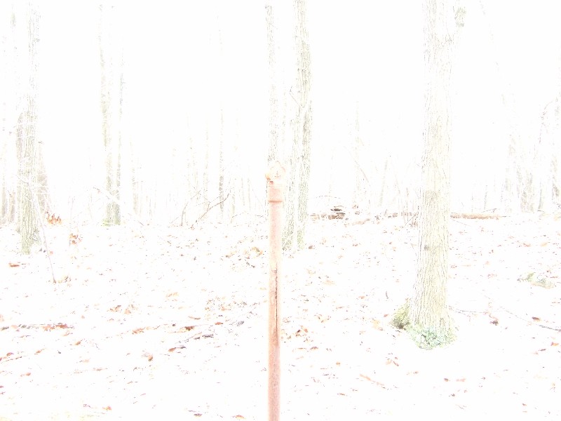 Click to view full-size image