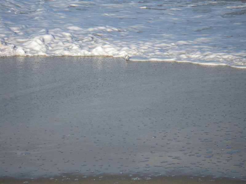 Click to view full-size image