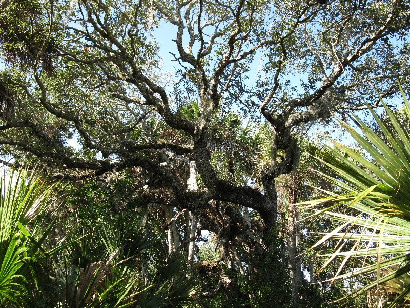 Click to view full-size image