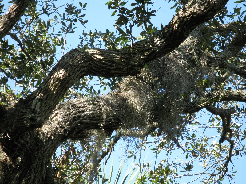 Click to view full-size image