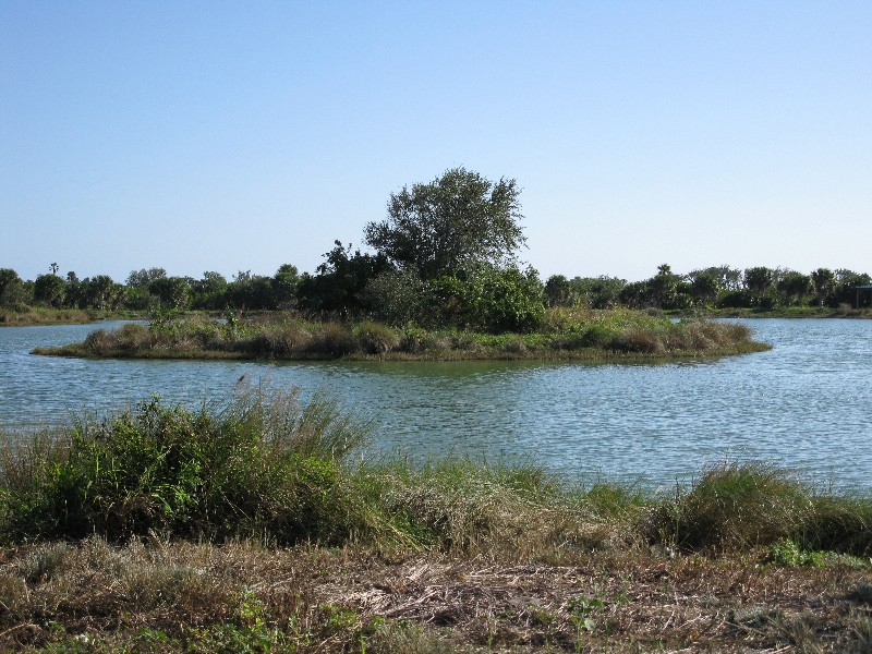 Click to view full-size image