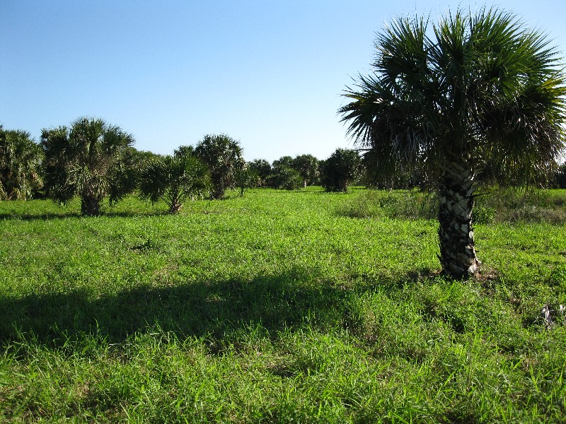 Click to view full-size image