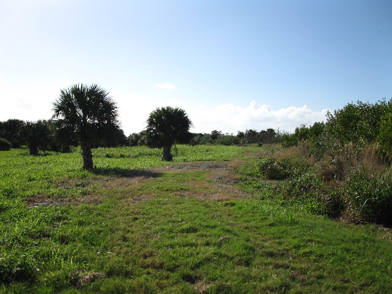 Click to view full-size image