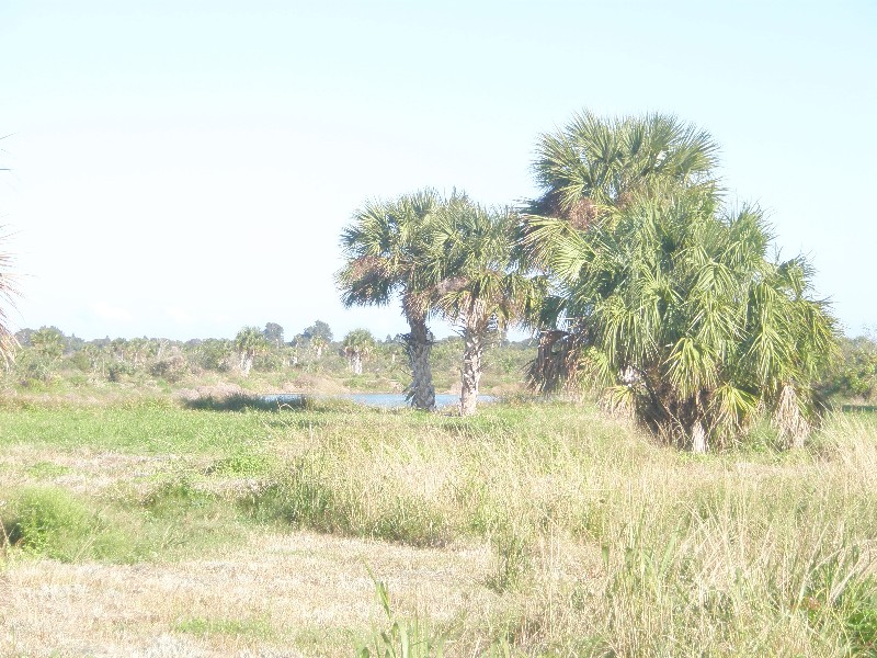 Click to view full-size image