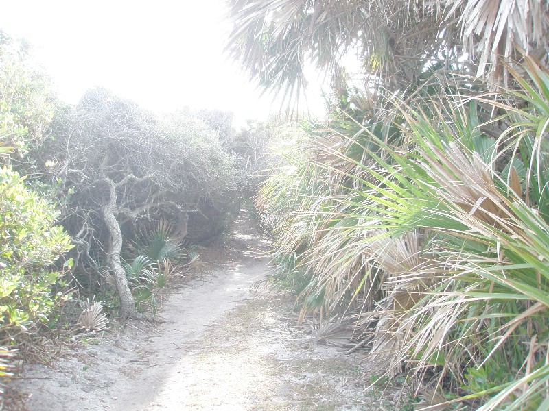 Click to view full-size image