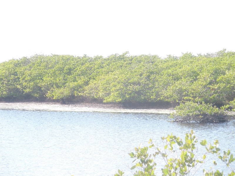 Click to view full-size image