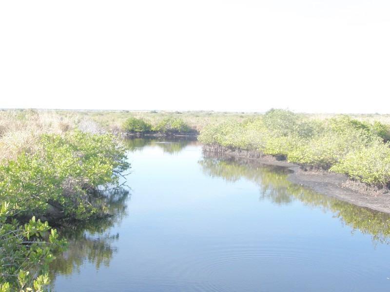 Click to view full-size image