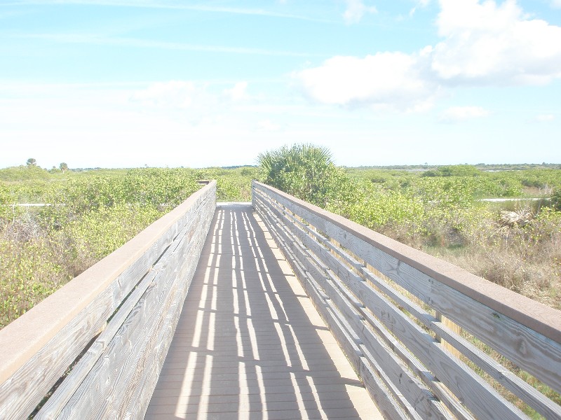 Click to view full-size image