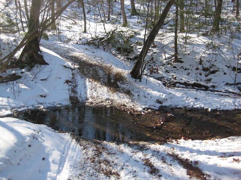 Click to view full-size image