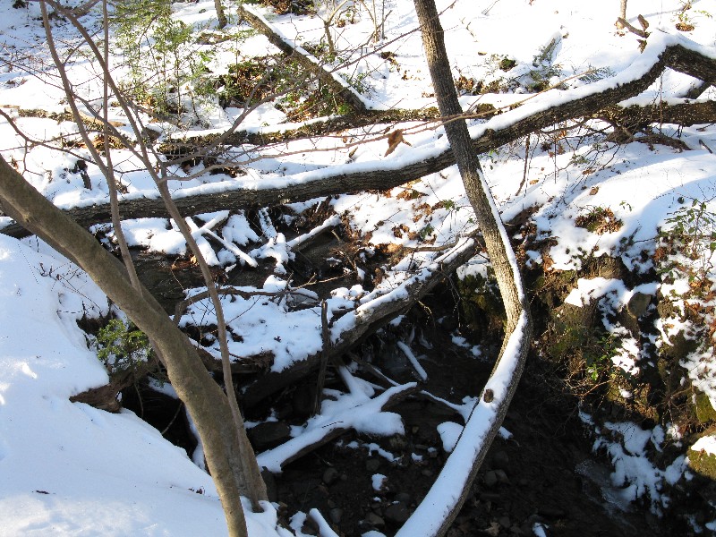 Click to view full-size image