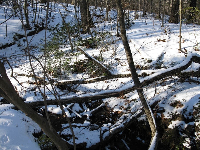 Click to view full-size image