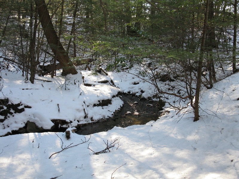 Click to view full-size image