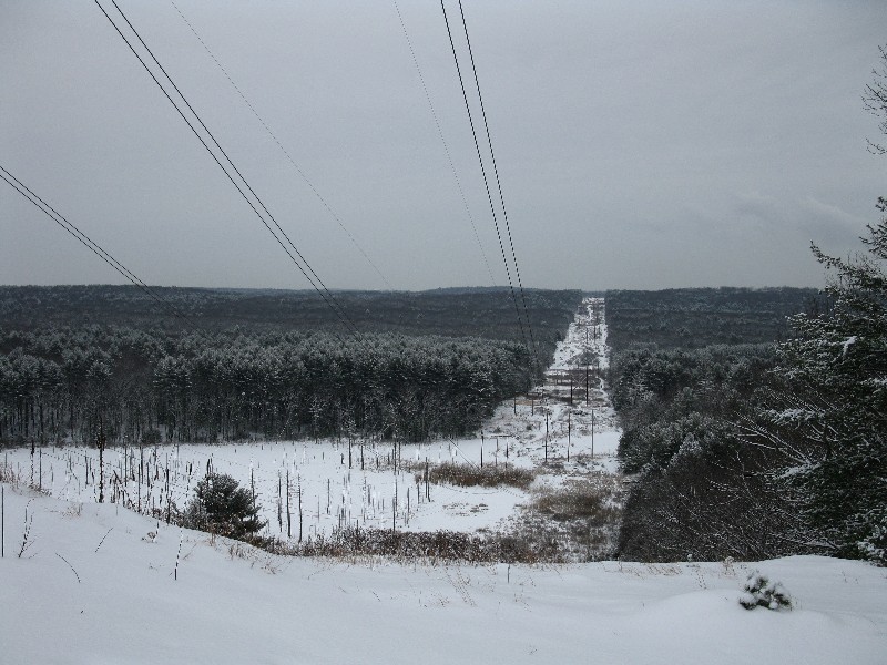 Click to view full-size image