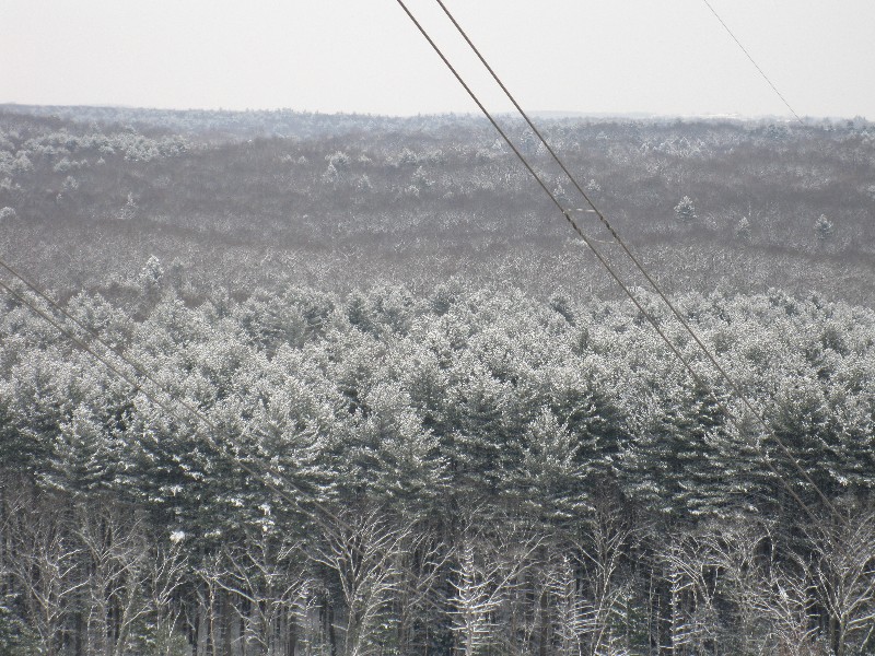 Click to view full-size image