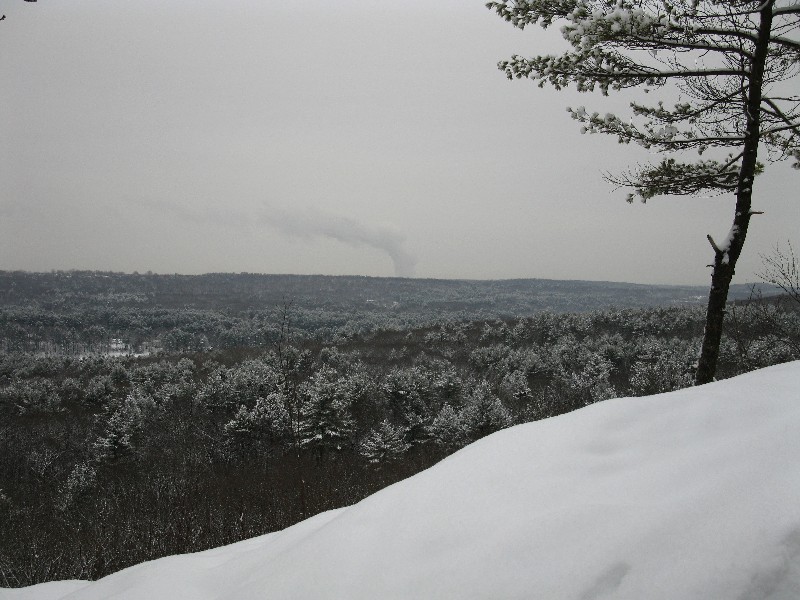 Click to view full-size image