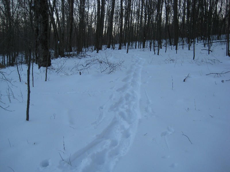 Click to view full-size image