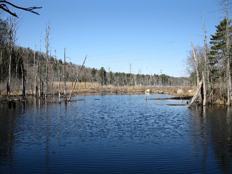 Click to view full-size image