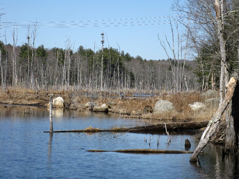 Click to view full-size image