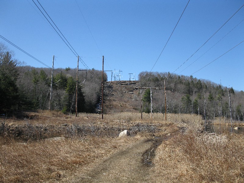 Click to view full-size image