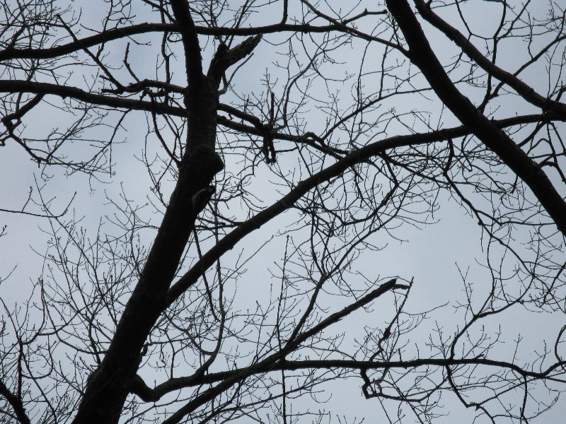 Click to view full-size image