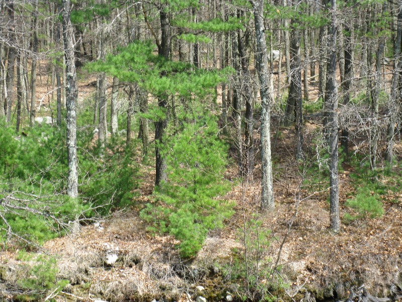 Click to view full-size image