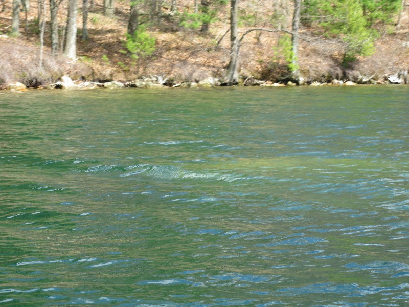 Click to view full-size image