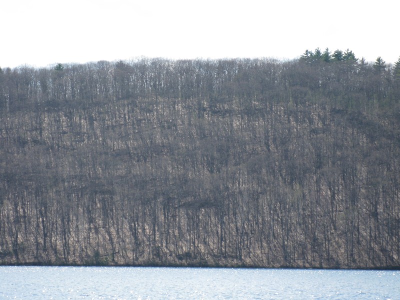 Click to view full-size image