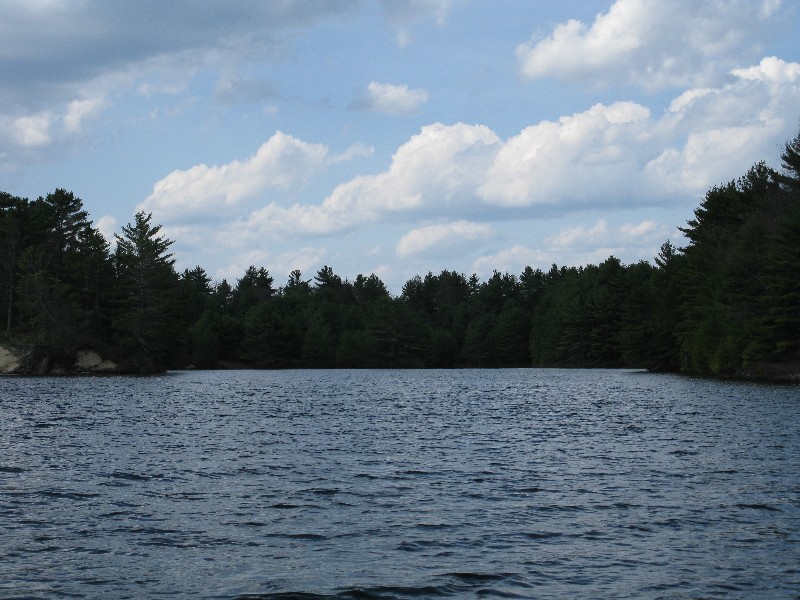 Click to view full-size image