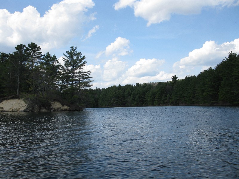 Click to view full-size image