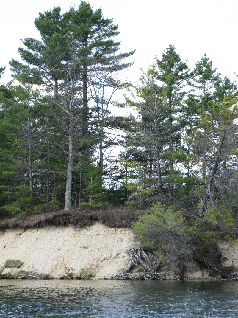 Click to view full-size image