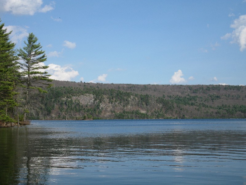 Click to view full-size image