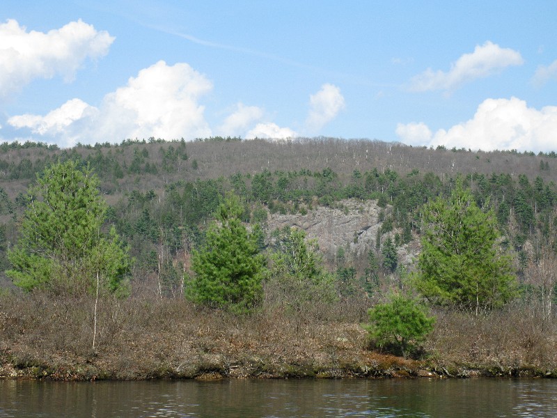 Click to view full-size image