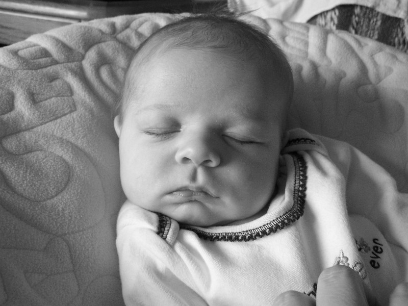 Click to view full-size image