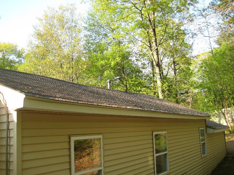 Click to view full-size image