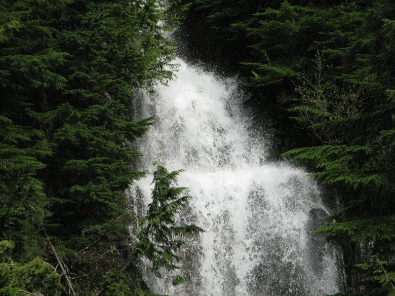 Click to view full-size image