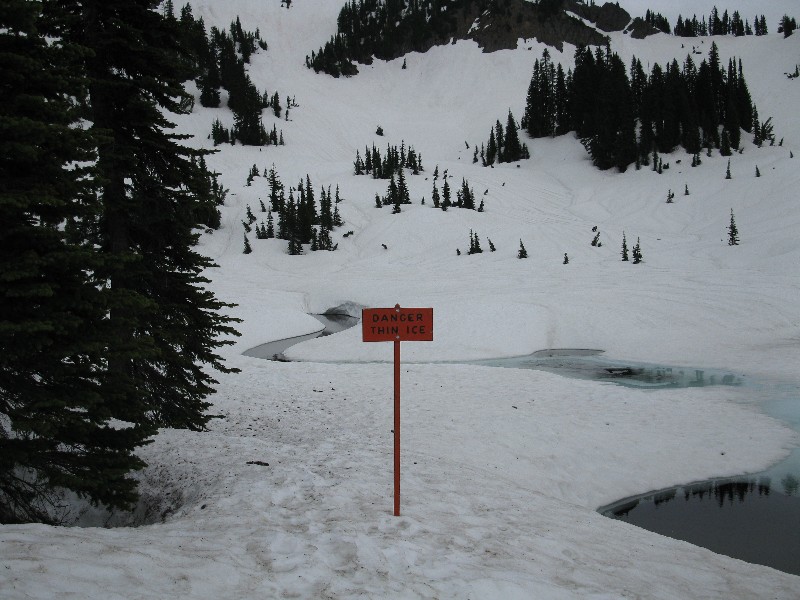 Click to view full-size image