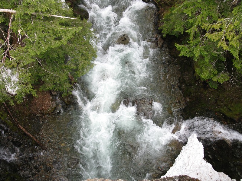 Click to view full-size image