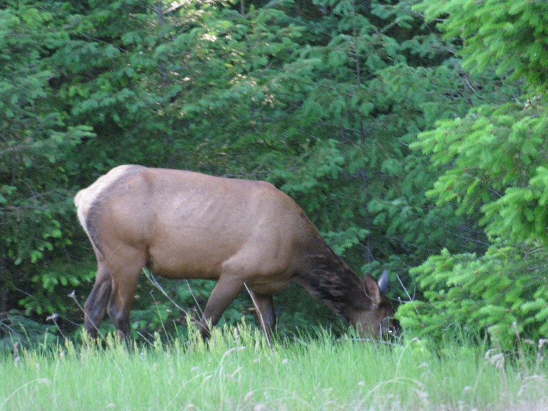 Click to view full-size image