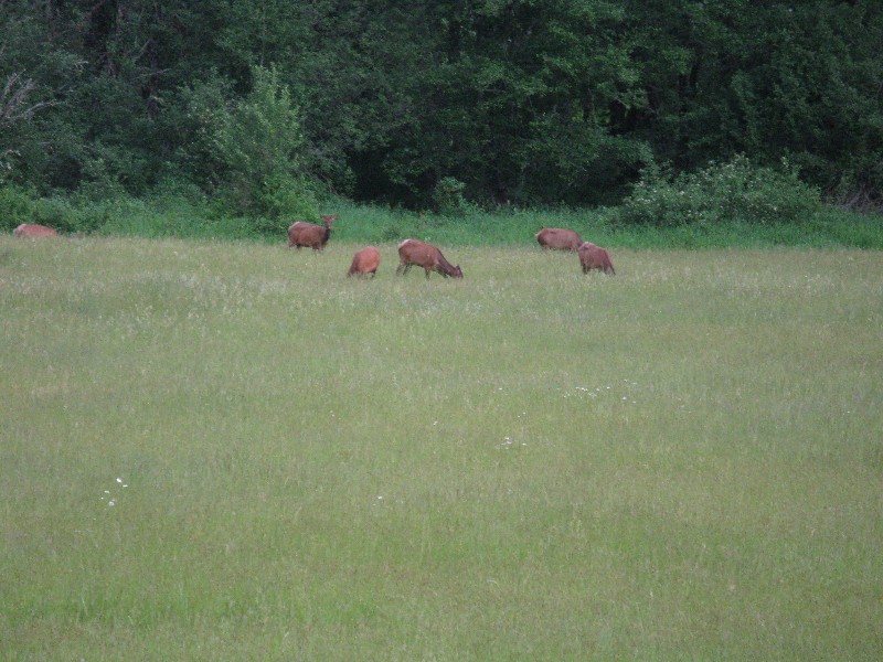 Click to view full-size image